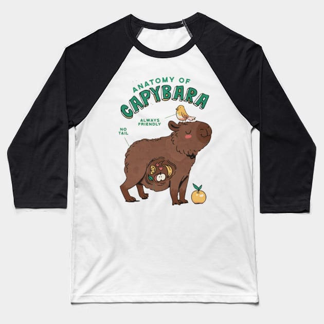 Anatomy of a Capybara Baseball T-Shirt by Digital-Zoo